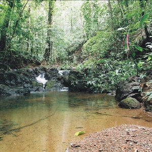 /Albums/11/43579 R1 17 15a