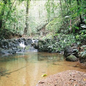 /Albums/11/43579 R1 18 14a