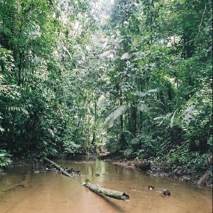 /Albums/11/43579 R1 19 13a