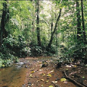 /Albums/11/43579 R1 21 11a