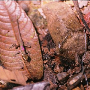 /Albums/11/43579 R1 24 8a