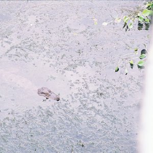 /Albums/11/43579 R1 28 4a