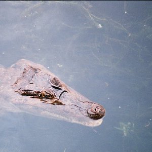 /Albums/11/43579 R1 30 2a