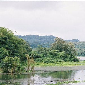 /Albums/11/43579 R1 31 1a