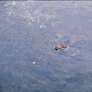 /Albums/11/43579 R1 32 0a