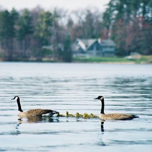 /Albums/12/107572 R1 12 25