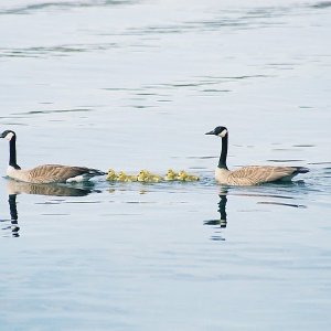 /Albums/12/107572 R1 13 24