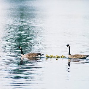 /Albums/12/107572 R1 14 23