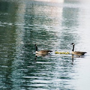 /Albums/12/107572 R1 15 22