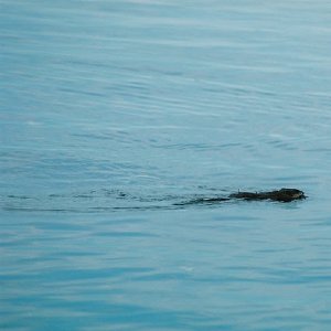 /Albums/12/107572 R1 16 21