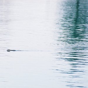 /Albums/12/107572 R1 17 20