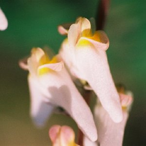 /Albums/12/107572 R1 19 17