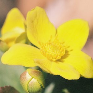 /Albums/12/107572 R1 23 13