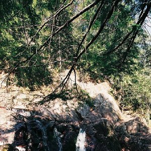 /Albums/12/107572 R1 28 8