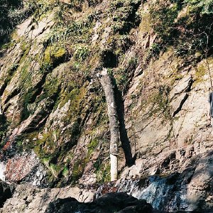 /Albums/12/107572 R1 32 4