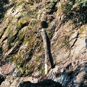 /Albums/12/107572 R1 35 1