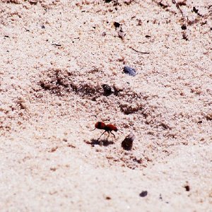 /Albums/12/107573 R1 00 23a