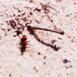 /Albums/12/107573 R1 01 22a