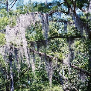 /Albums/12/107573 R1 04 19a