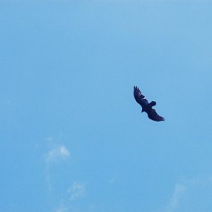 /Albums/12/107573 R1 05 18a