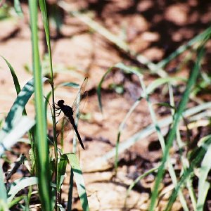 /Albums/12/107573 R1 07 16a