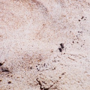 /Albums/12/107573 R1 09 14a