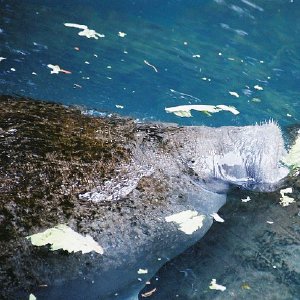 /Albums/12/107573 R1 10 13a