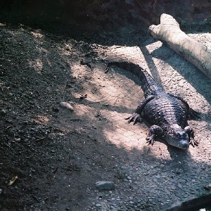 /Albums/12/107574 R1 20 21