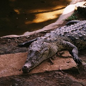 /Albums/12/107574 R1 24 25