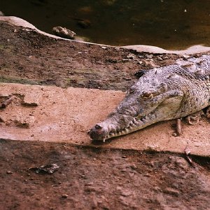 /Albums/12/107574 R1 25 26