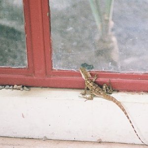 /Albums/12/107574 R1 26 27