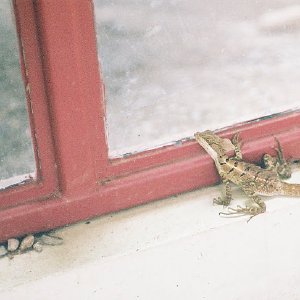 /Albums/12/107574 R1 27 28