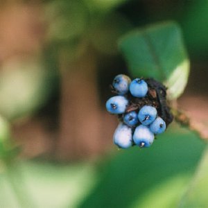 /Albums/12/107574 R1 28 29