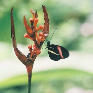 /Albums/12/107574 R1 30 31