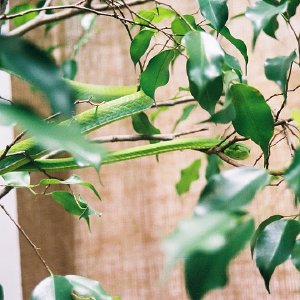 /Albums/12/107574 R1 33 34