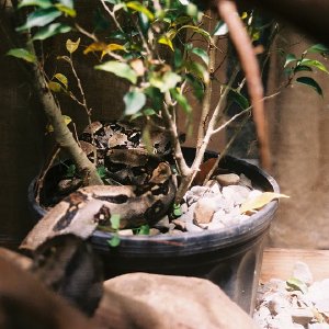 /Albums/12/107574 R1 34 35