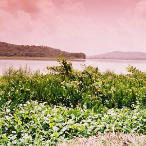 /Albums/12/107574 R1 35 36