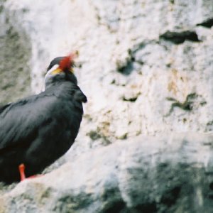 /Albums/12/107575 R1 07 3a