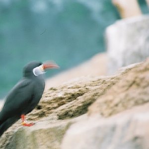 /Albums/12/107575 R1 10 0a