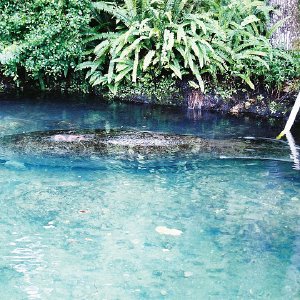 /Albums/13/107573 R1 12 11a