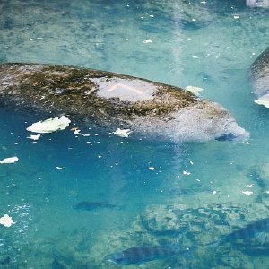 /Albums/13/107573 R1 13 10a