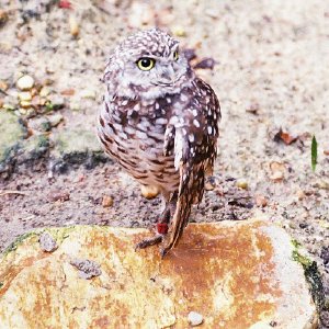 /Albums/13/107573 R1 14 9a