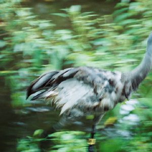 /Albums/13/107573 R1 17 6a