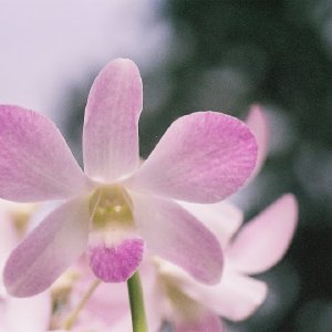 /Albums/13/107576 R1 00 0a