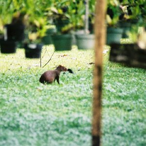 /Albums/13/107576 R1 03 3a