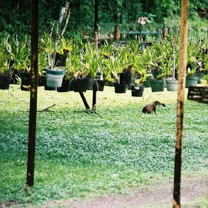 /Albums/13/107576 R1 04 4a