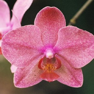 /Albums/13/107576 R1 06 6a