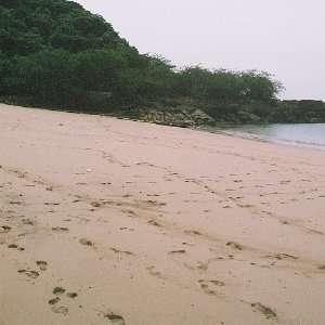 /Albums/13/107576 R1 09 9a