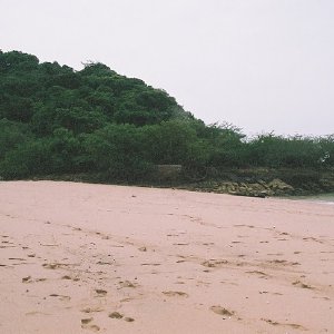 /Albums/13/107576 R1 10 10a