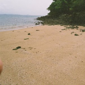 /Albums/13/107576 R1 14 14a